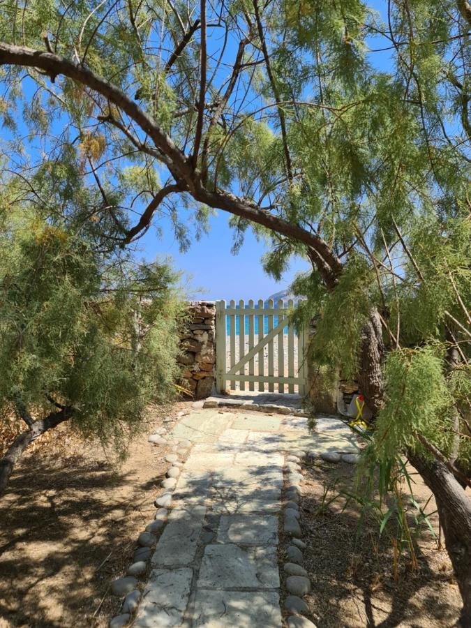 Nature Eco Living Serifos Livadi  Ngoại thất bức ảnh